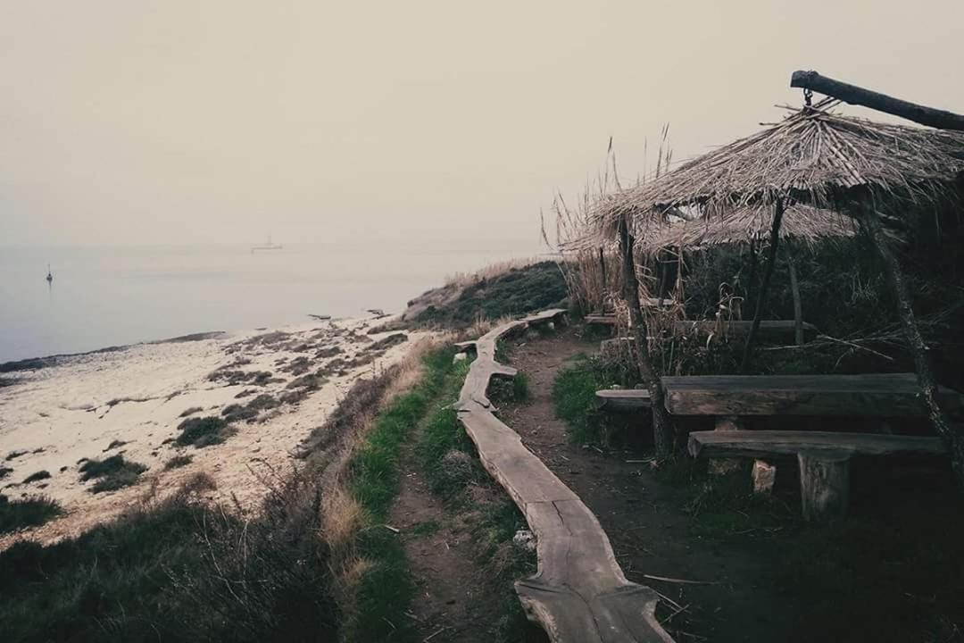 House Fontanele
